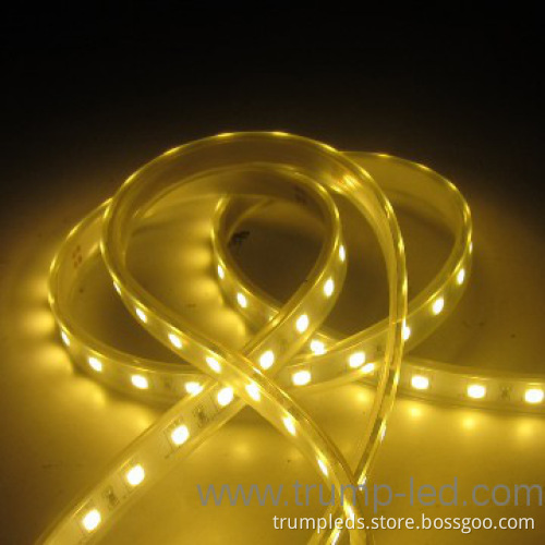 Indoor/outdoor lighting led lights 5050 60LED/M smd led strip light